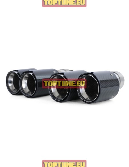 Dual Performance Carbon exhaust tips