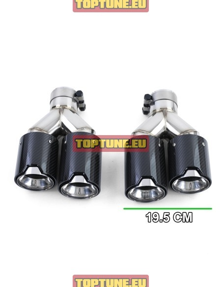 Dual Performance Carbon exhaust tips