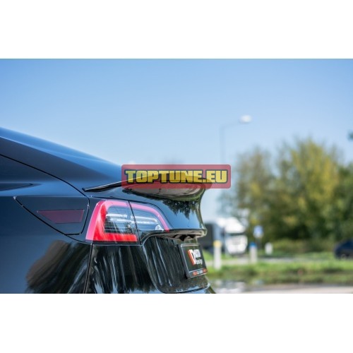 Bagažinės spoileris skirtas Tesla Model 3